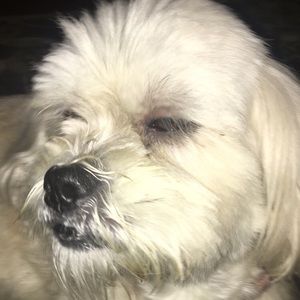 Meet your Posher, Chloe